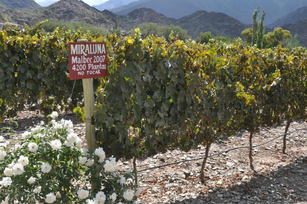 Miraluna Bodega Boutique Cachí Εξωτερικό φωτογραφία