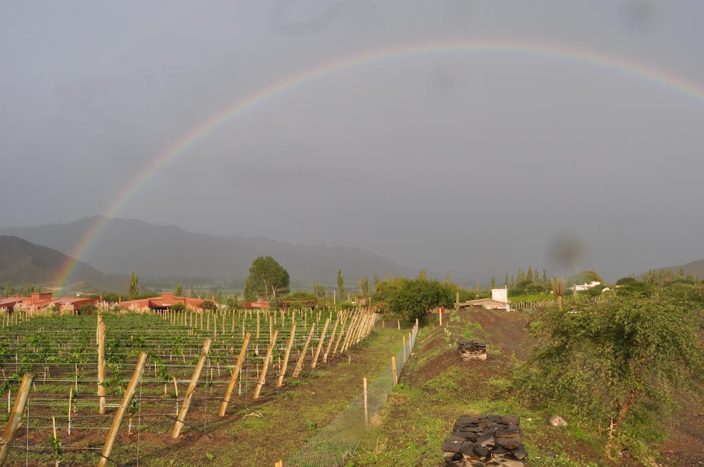 Miraluna Bodega Boutique Cachí Εξωτερικό φωτογραφία